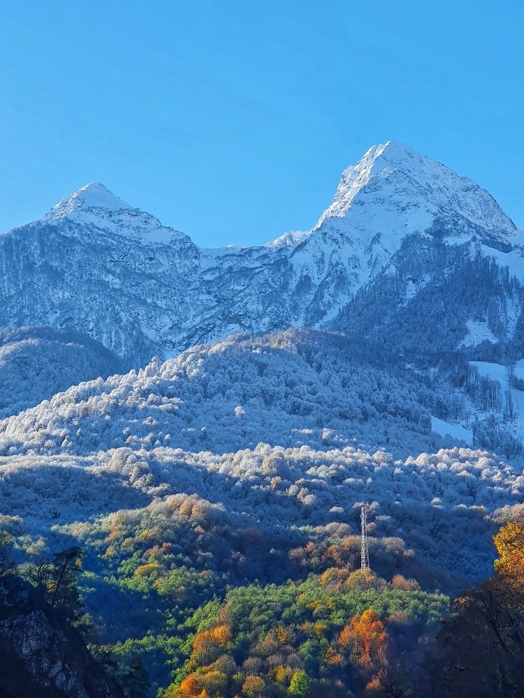 Контрасты природы