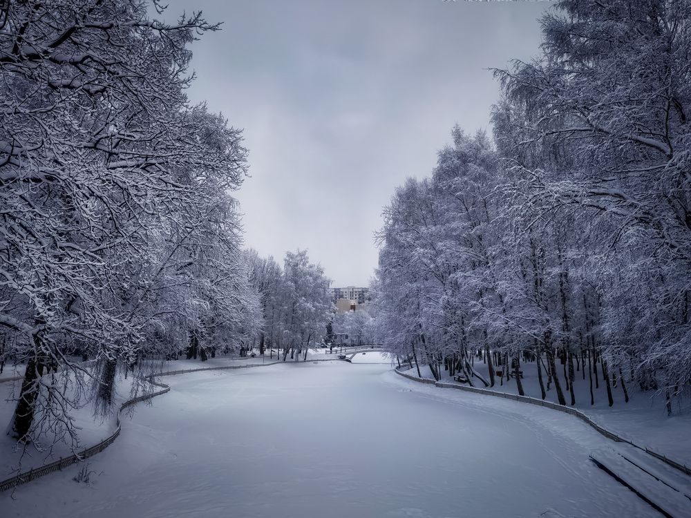 Photograph by Алексей Копылов