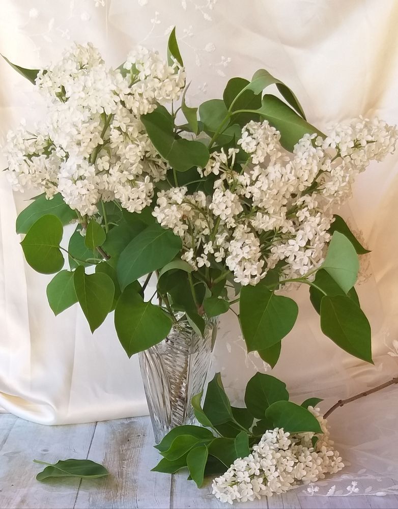 Photograph by Лейсан