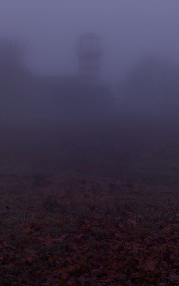 Фотография автора Татьяна Хуссейн