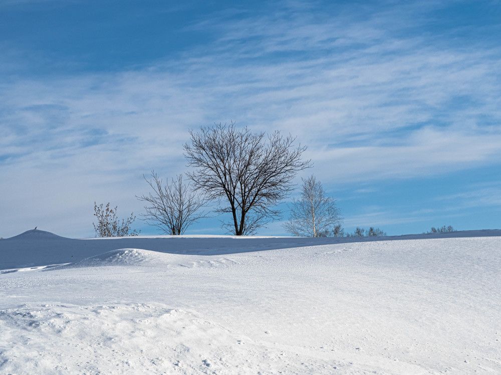 Photograph by Геннадий Покидов