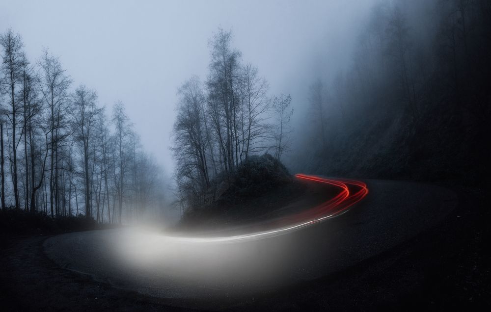 Photograph by Parsa Kamali