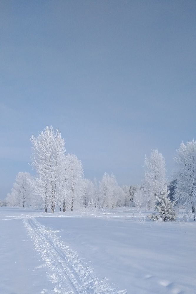 Photograph by Лейсан