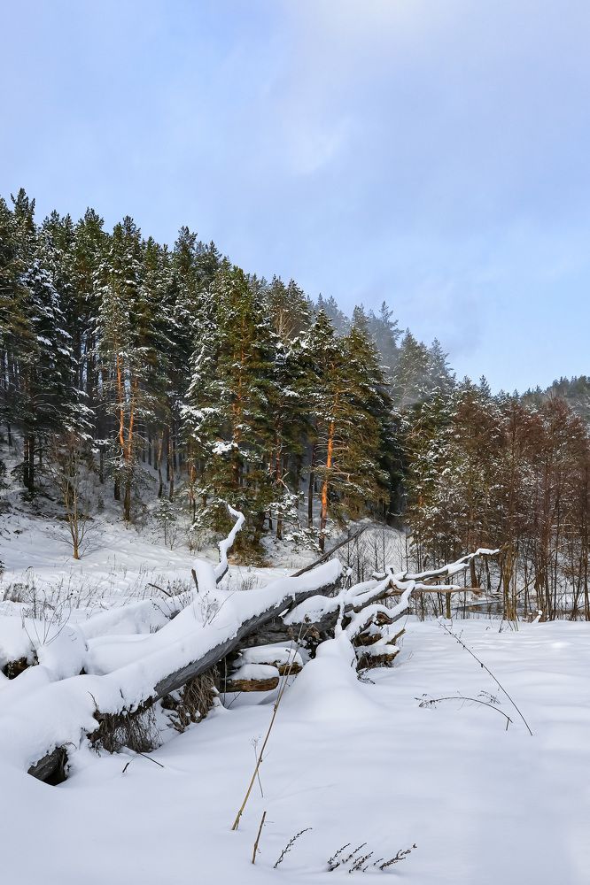 Photograph by Константин Панькин