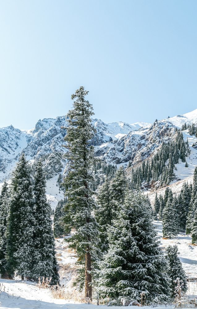 Photograph by Константин Панькин