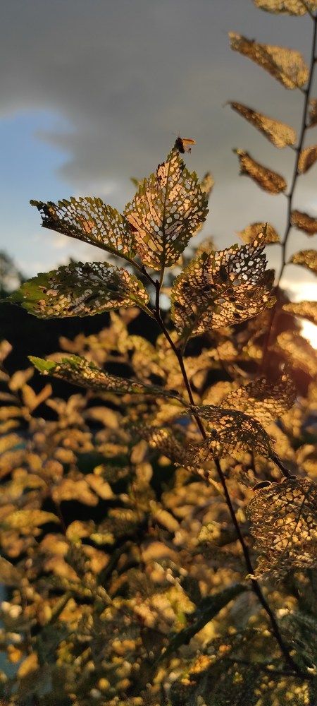 Photograph by Сергей Пимонов