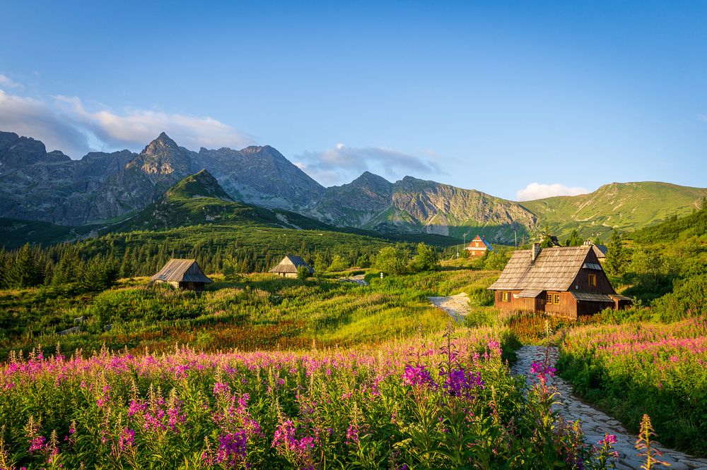 Фотография автора Skubala Krzysztof