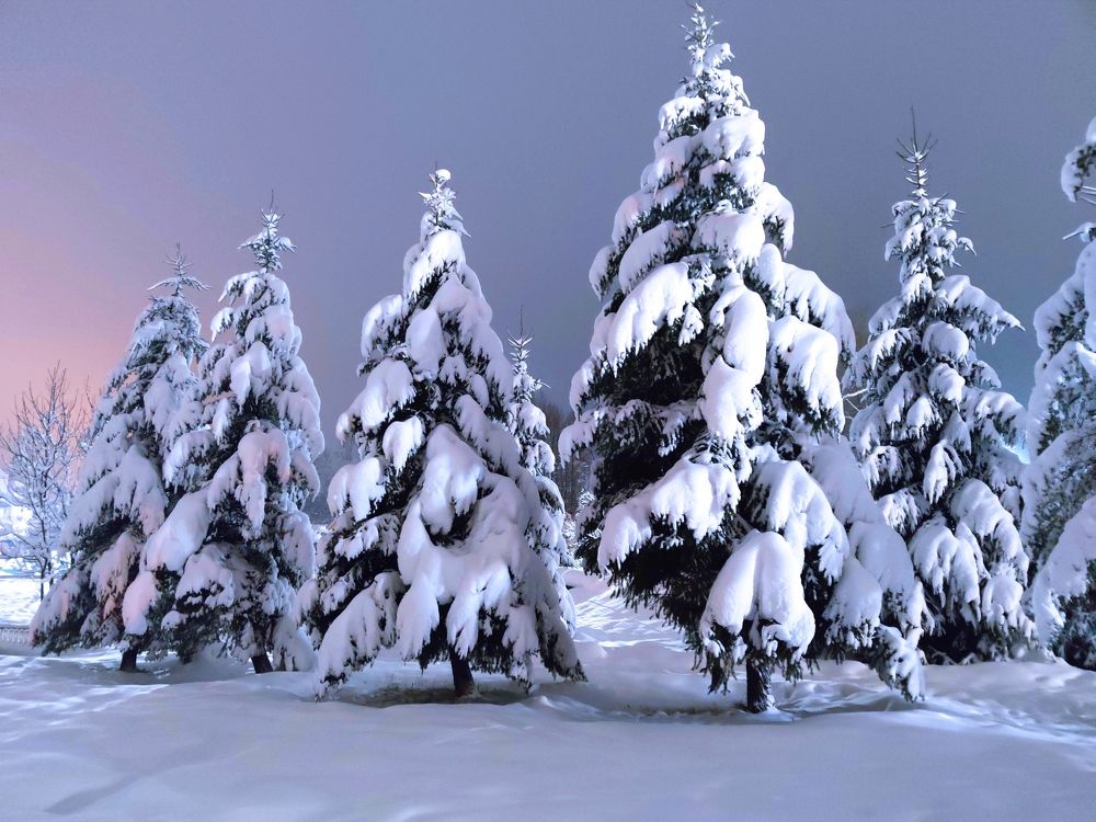 Photograph by Инна Макарчук