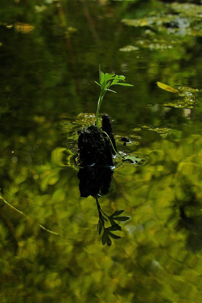 Photograph by Игорь Улитин