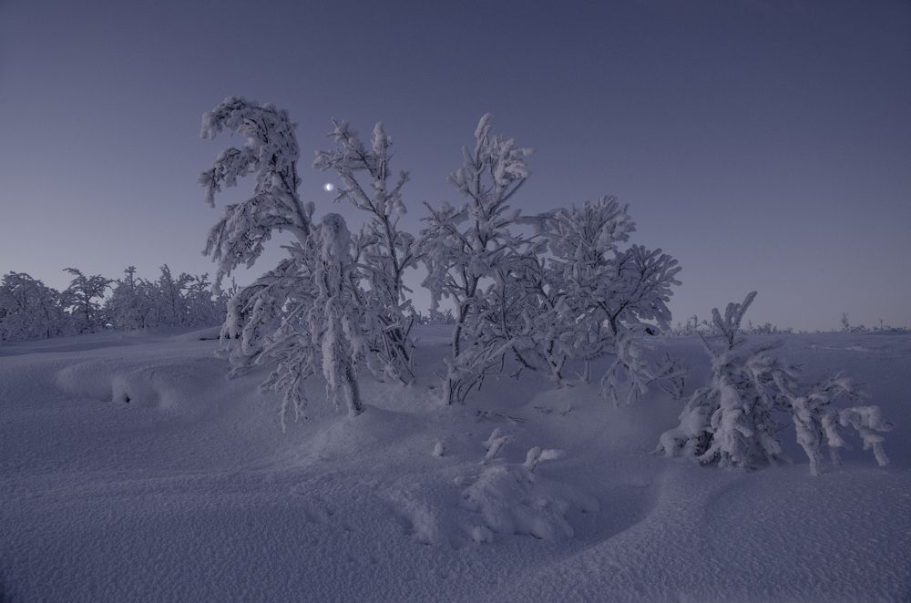 Photograph by Денис Абрамов