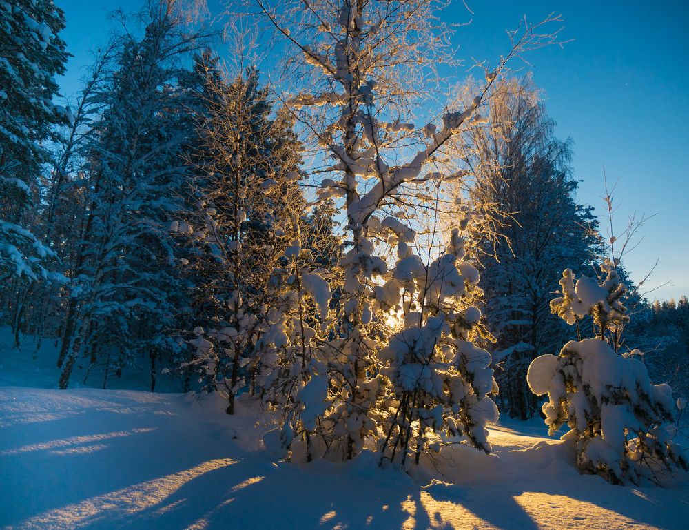Photograph by Антон