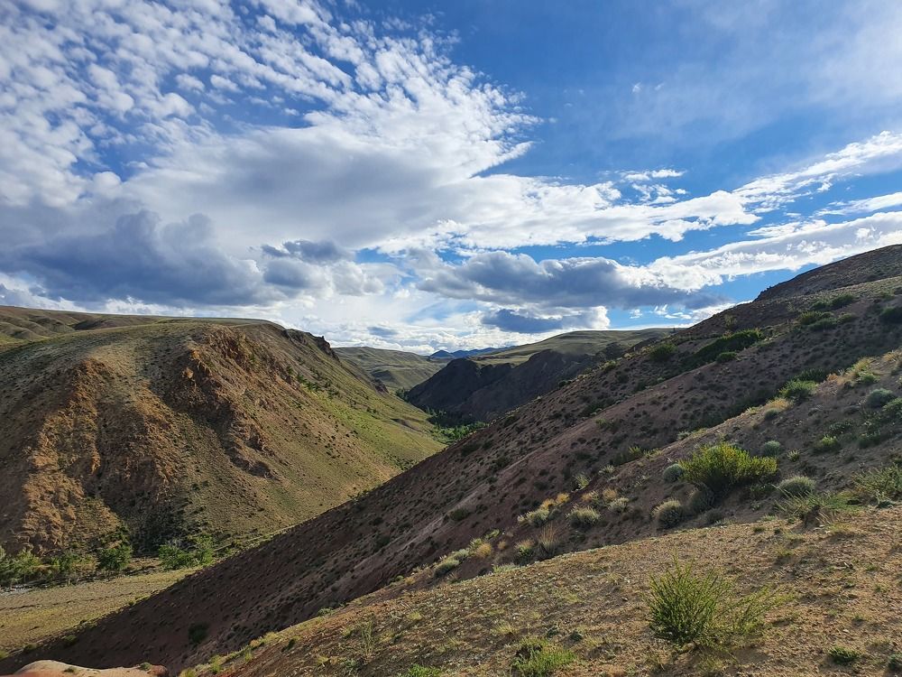 Photograph by Елена Харитонова