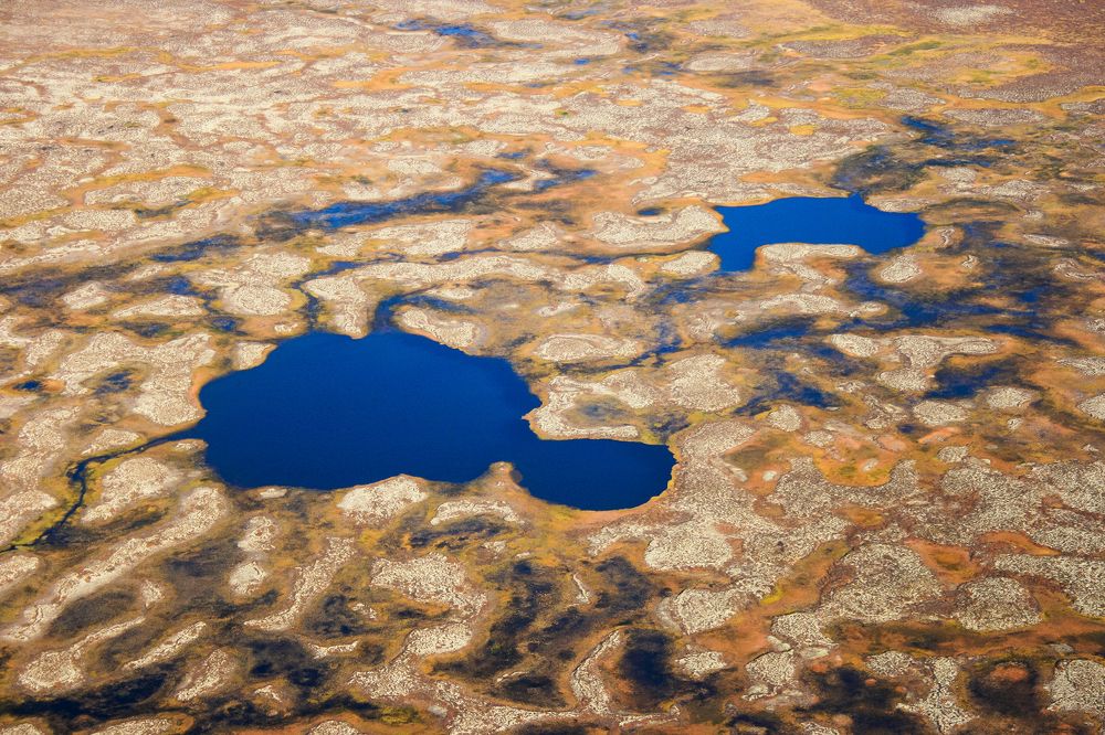 Photograph by Сергей Чарушин