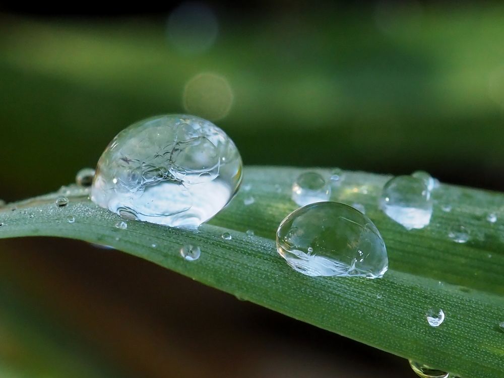 Photograph by Елена Харитонова