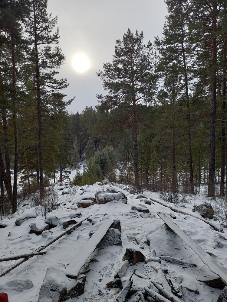 Photo #6891145