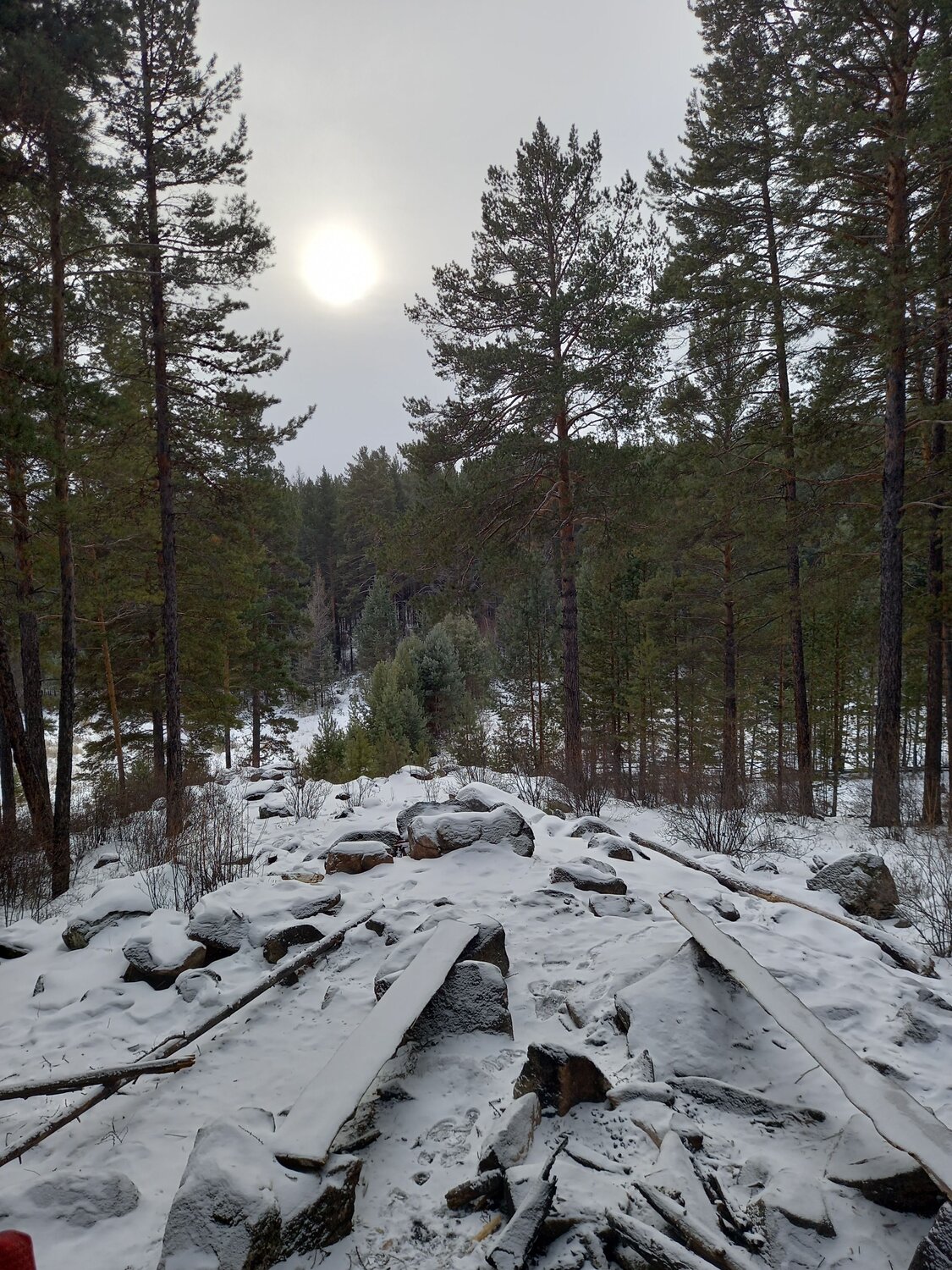 Photo #6891145