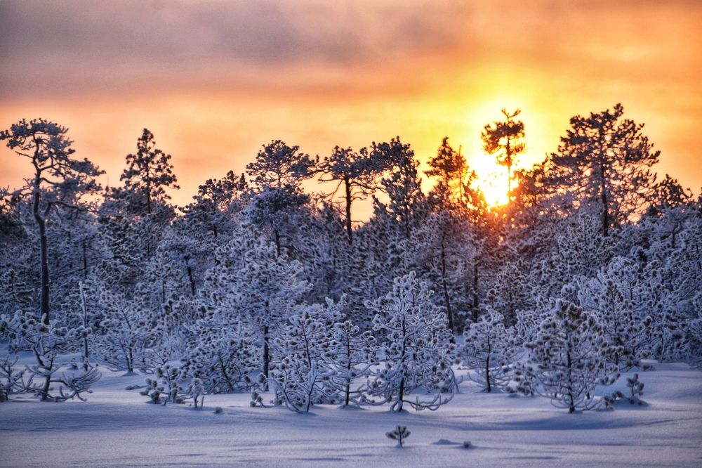 Сибирский рассвет