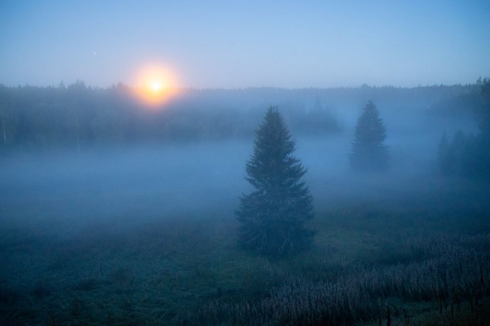 Photograph by Svetlana Dorokhova