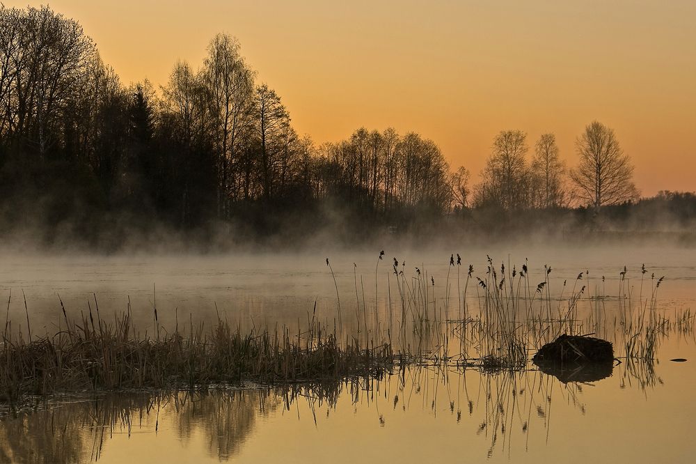 Photograph by Ярослав Лукьянов