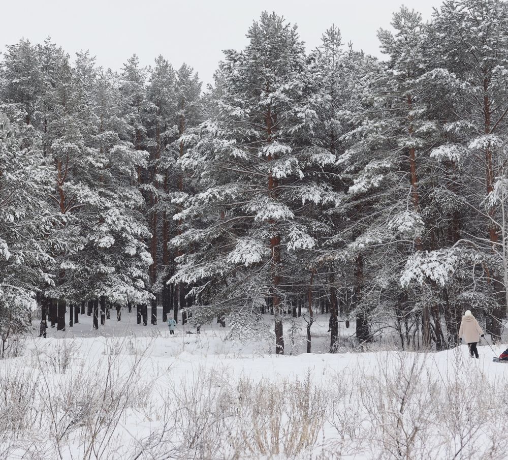 Photograph by Kira Bahvalova