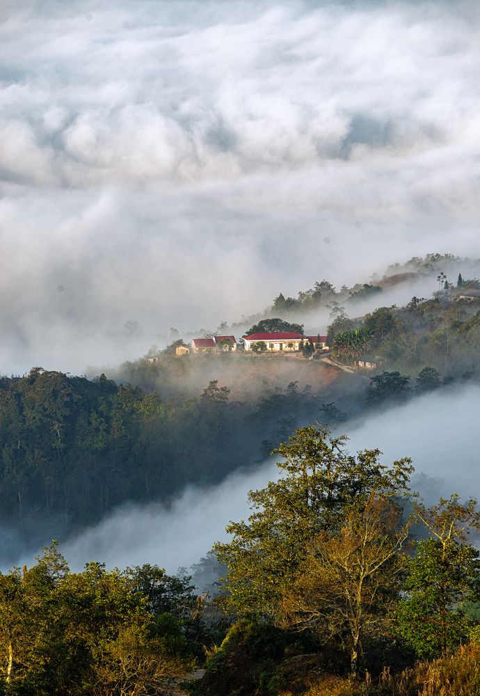 Photograph by Hùng Nguyễn