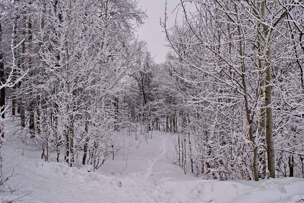 Photograph by Игорь Пшеничников