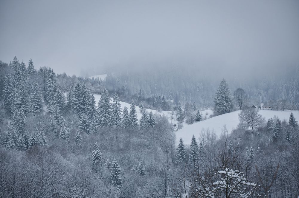 Photograph by Ольга Кудина