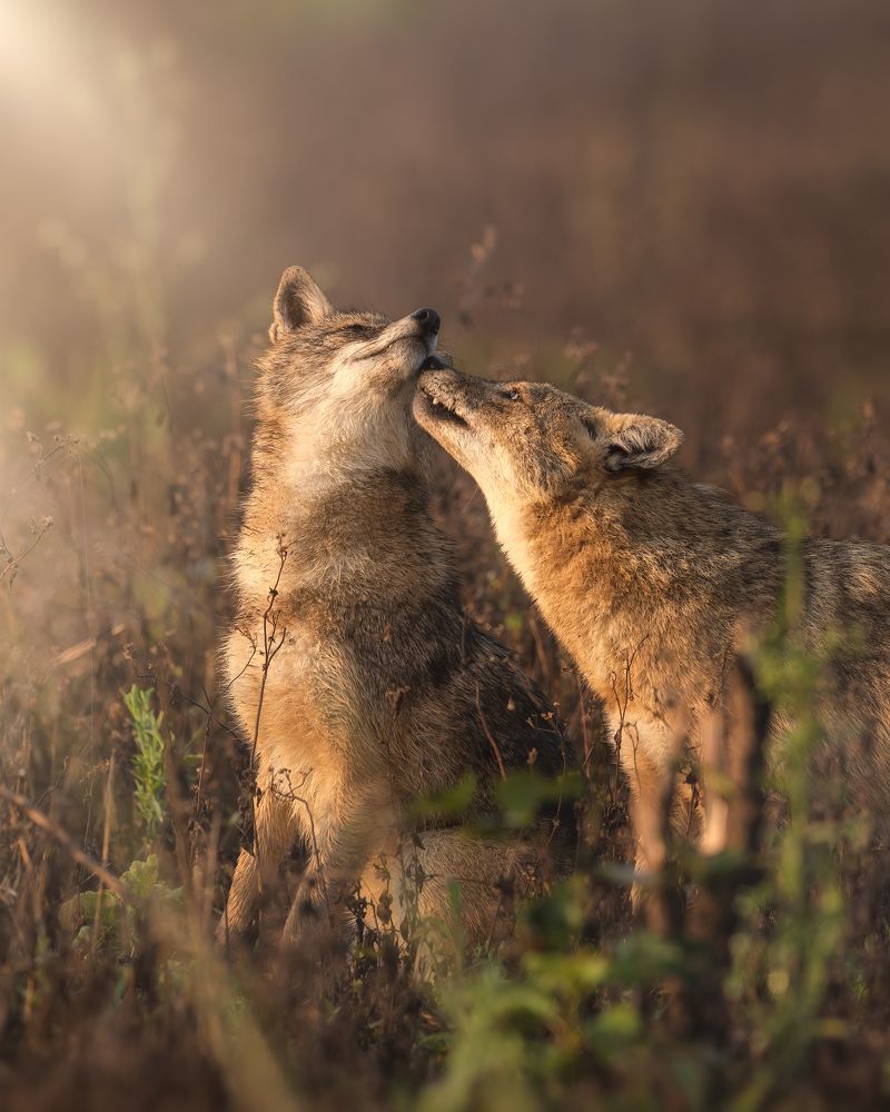 Photograph by Prashant Singh