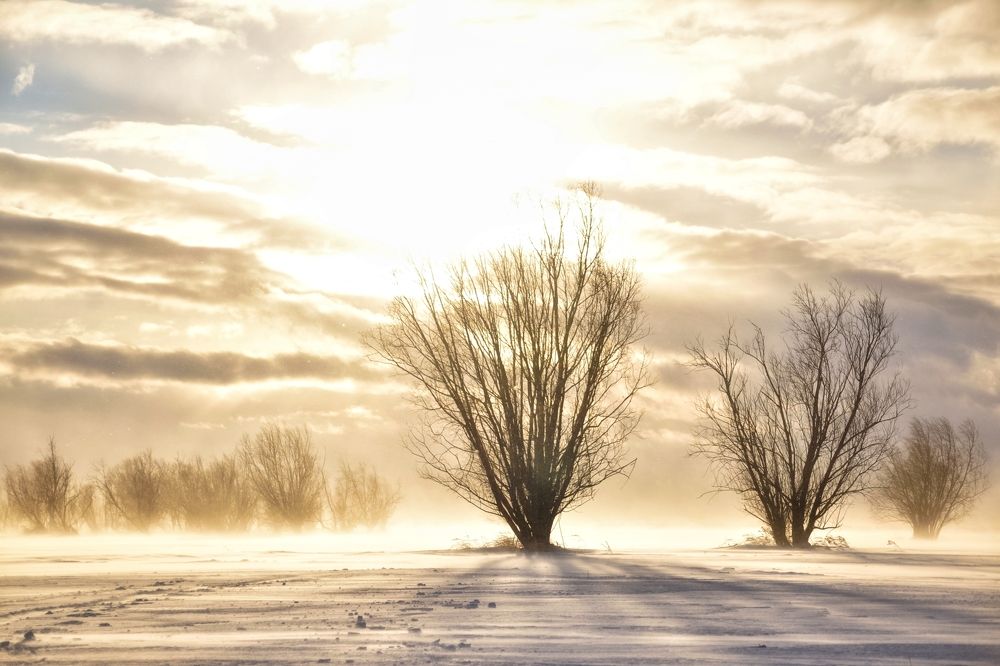 Фотография автора Анастасия Руднева