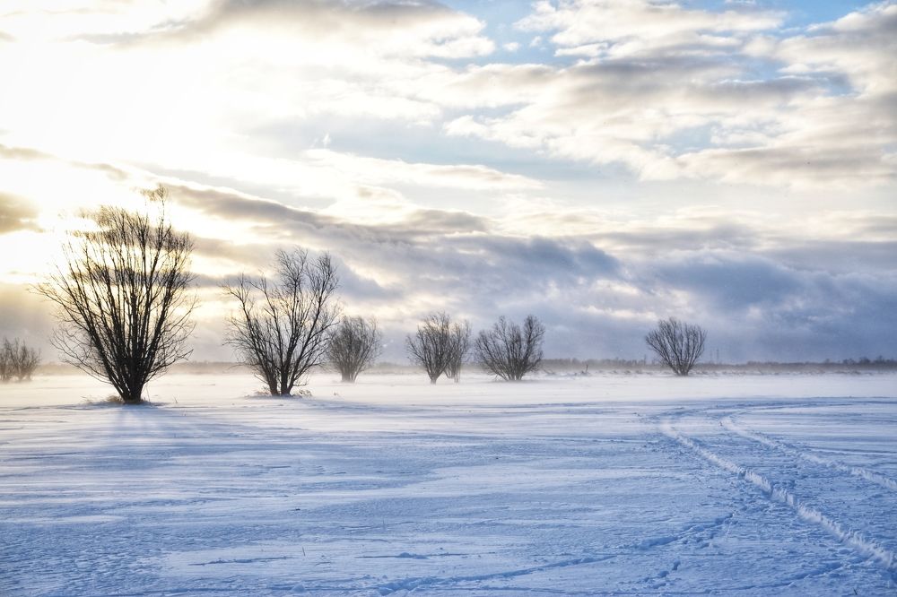 Зимний день