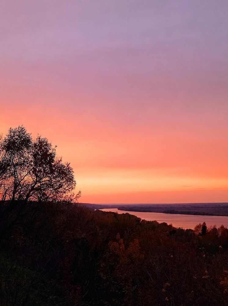 Фотография автора Ольга Савочкина