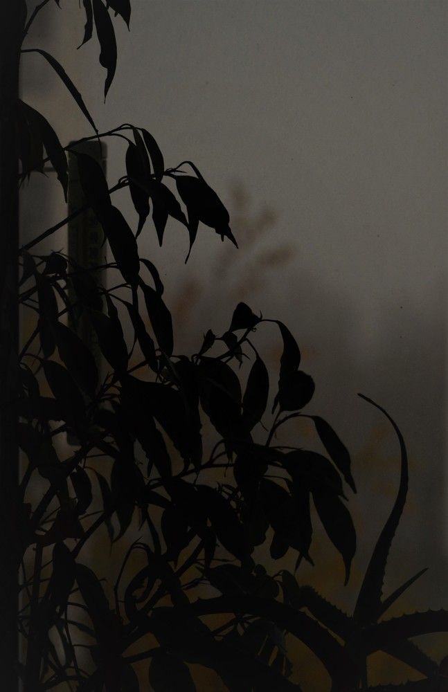 Photograph by Lyubov Makuha