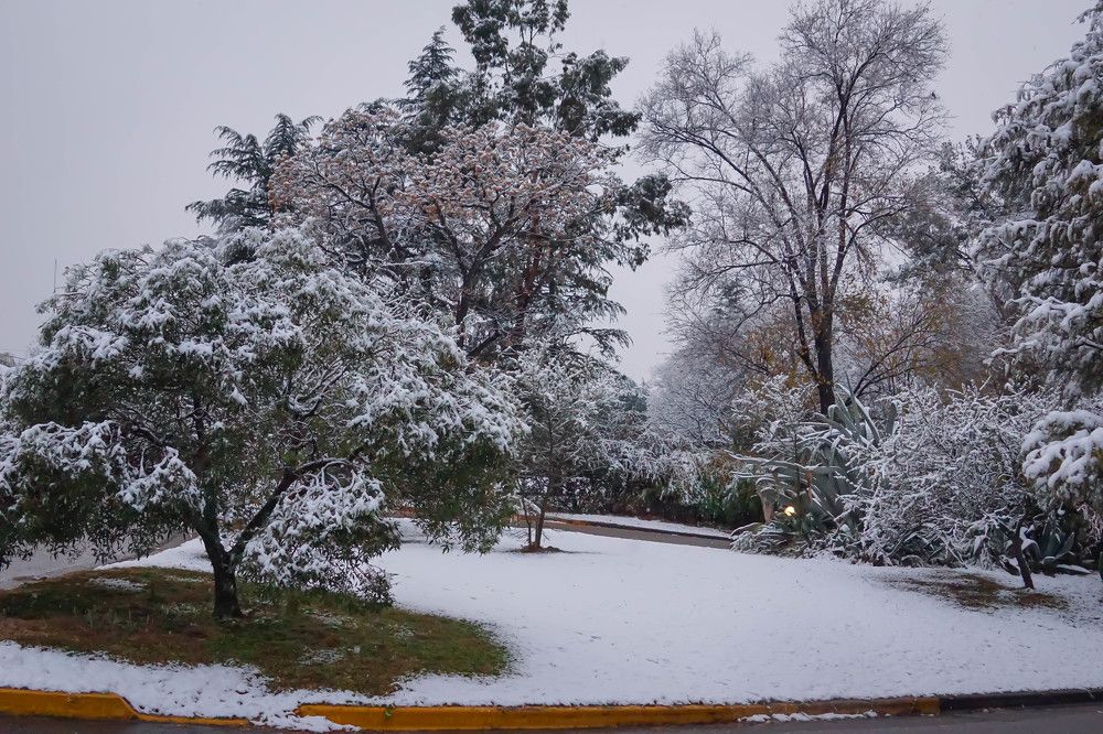 Photograph by Karina Elena Bergagna