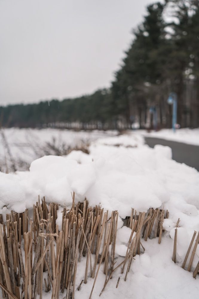 Photograph by Ekaterina Sukhanova