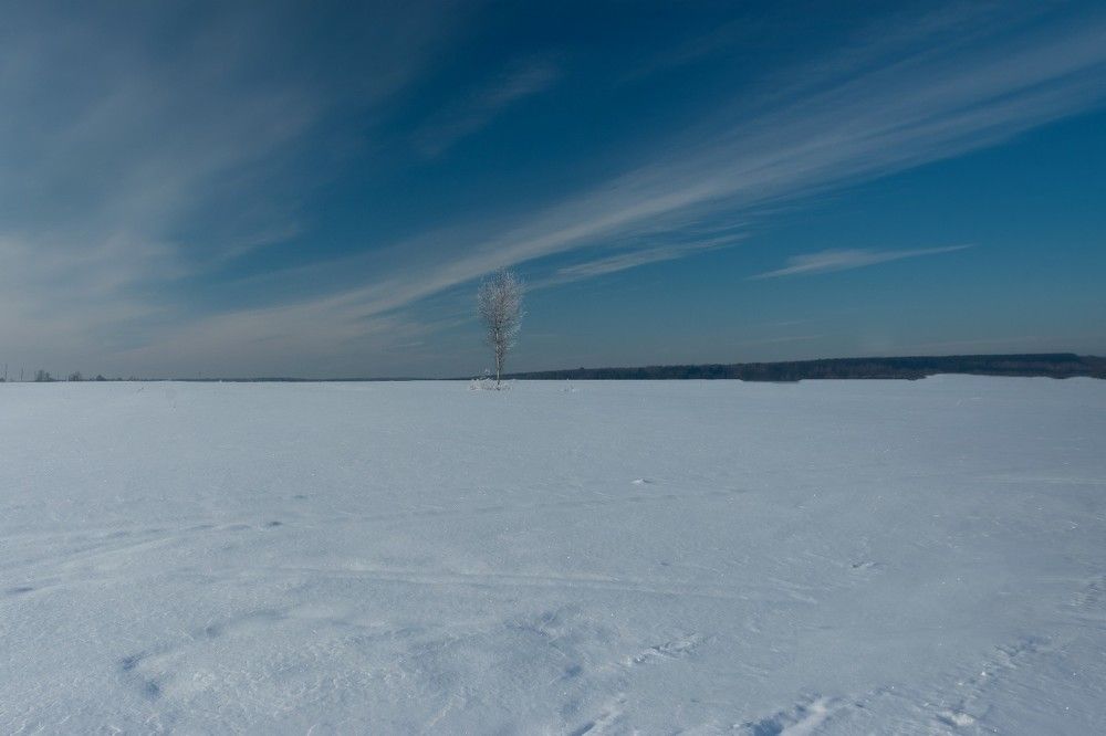 Photograph by Nikita Silyavin