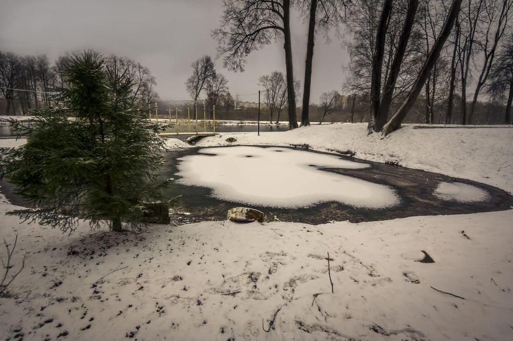 Photograph by Nikita Silyavin