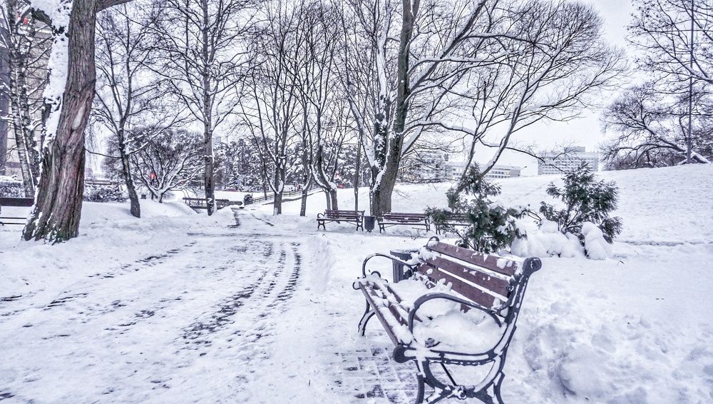 Photograph by Елена Пасажицкая