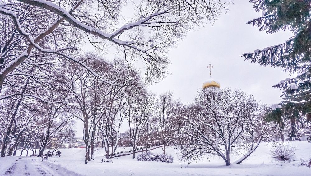 Photograph by Елена Пасажицкая