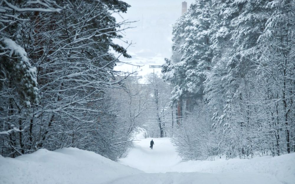 Photograph by Виталий Слёзка