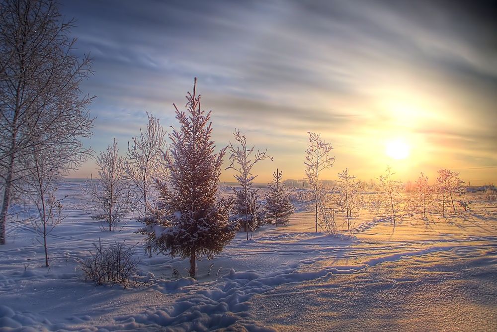 Photograph by Александр Корчагин