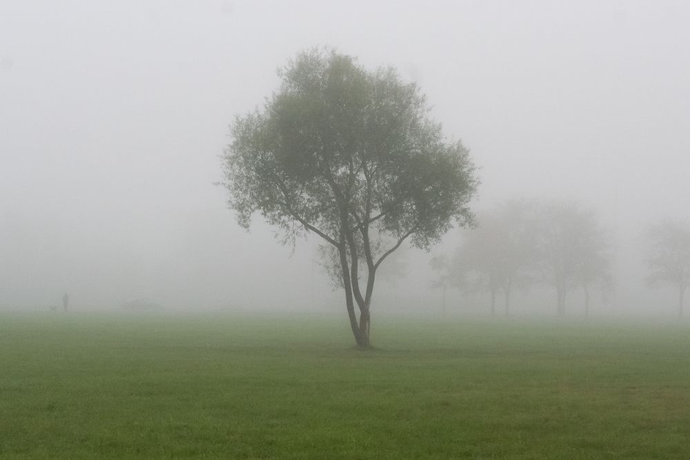 Photograph by Павлов Андрей