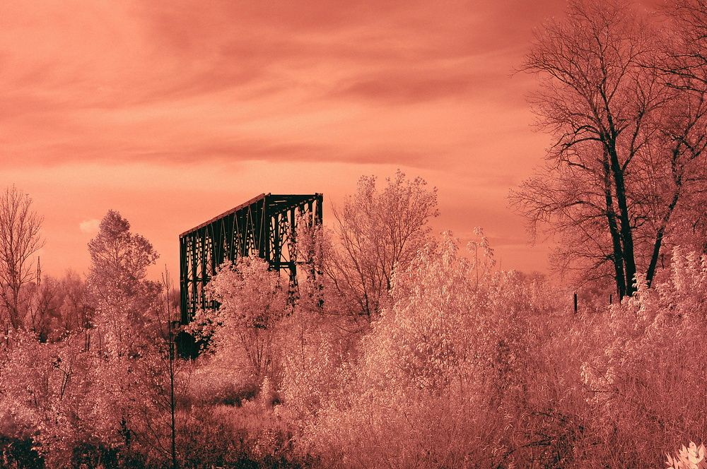 Photograph by Сергей Кузнецов