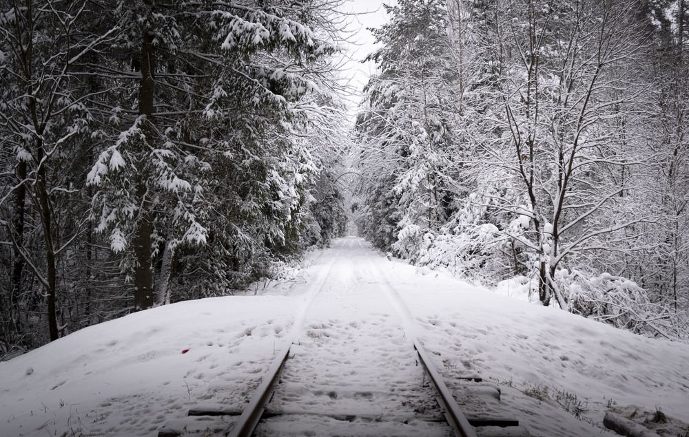 Photograph by Анна Панеева