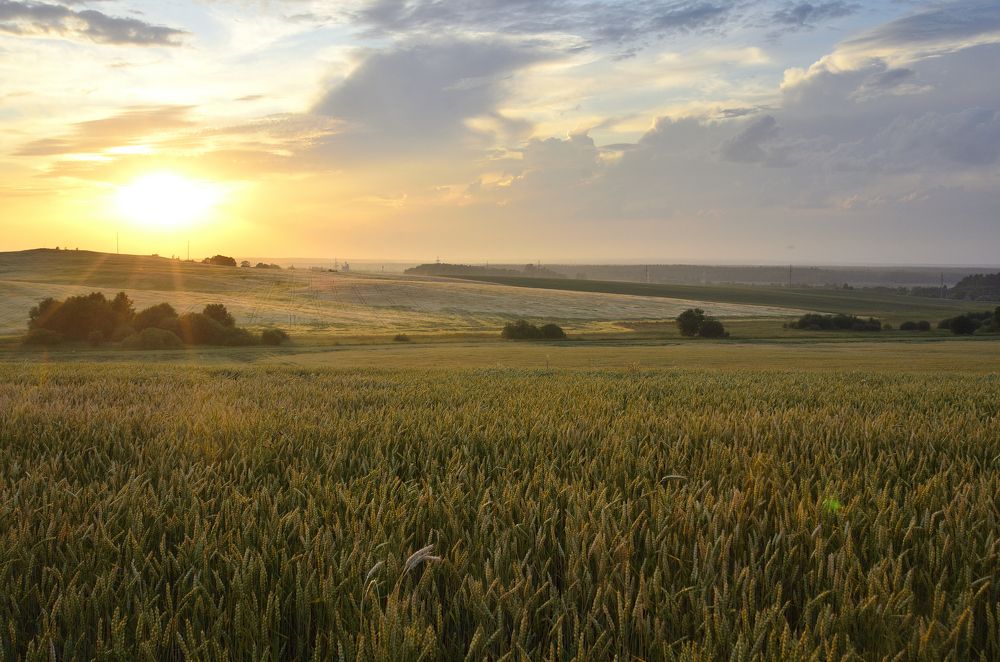 Фотография автора Никита Русецкий