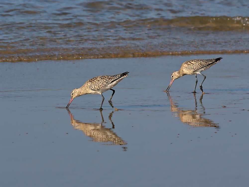Photograph by Moulay Ahmed KASSI