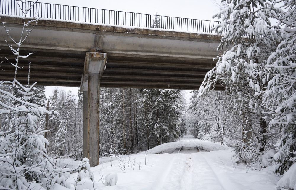 Photograph by Анна Панеева