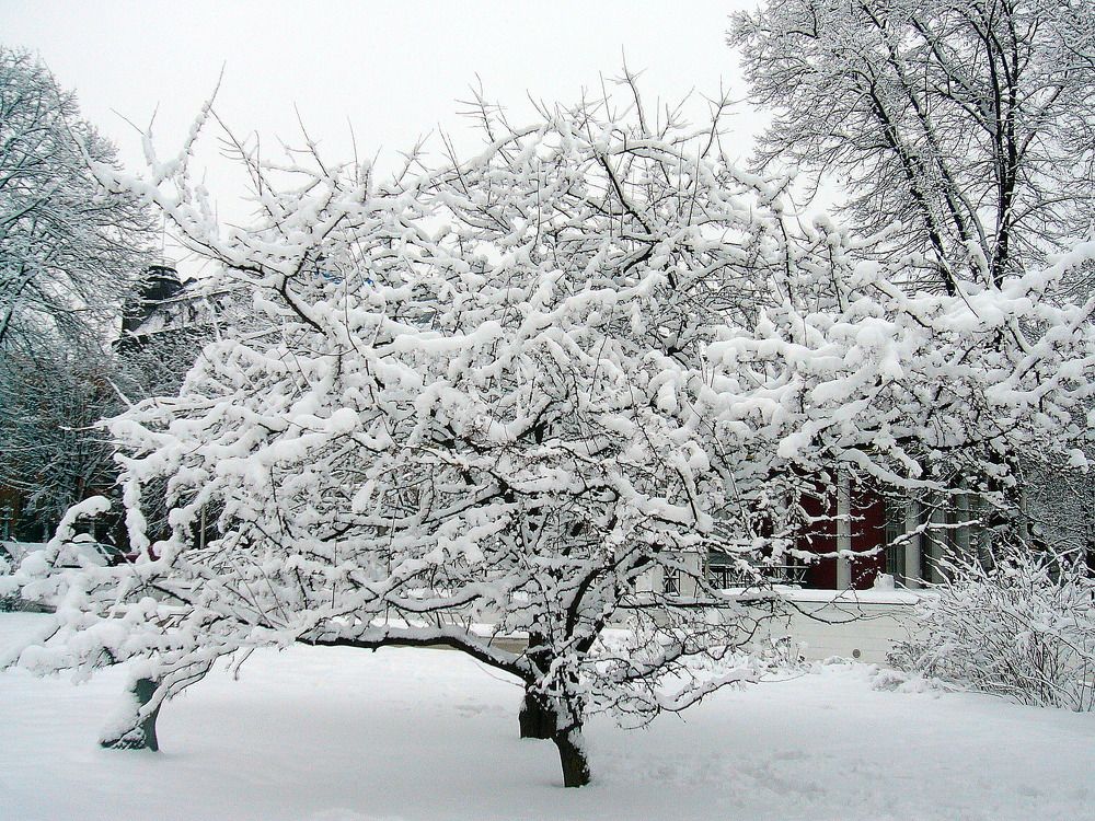 Photograph by Pjotr Alekseev