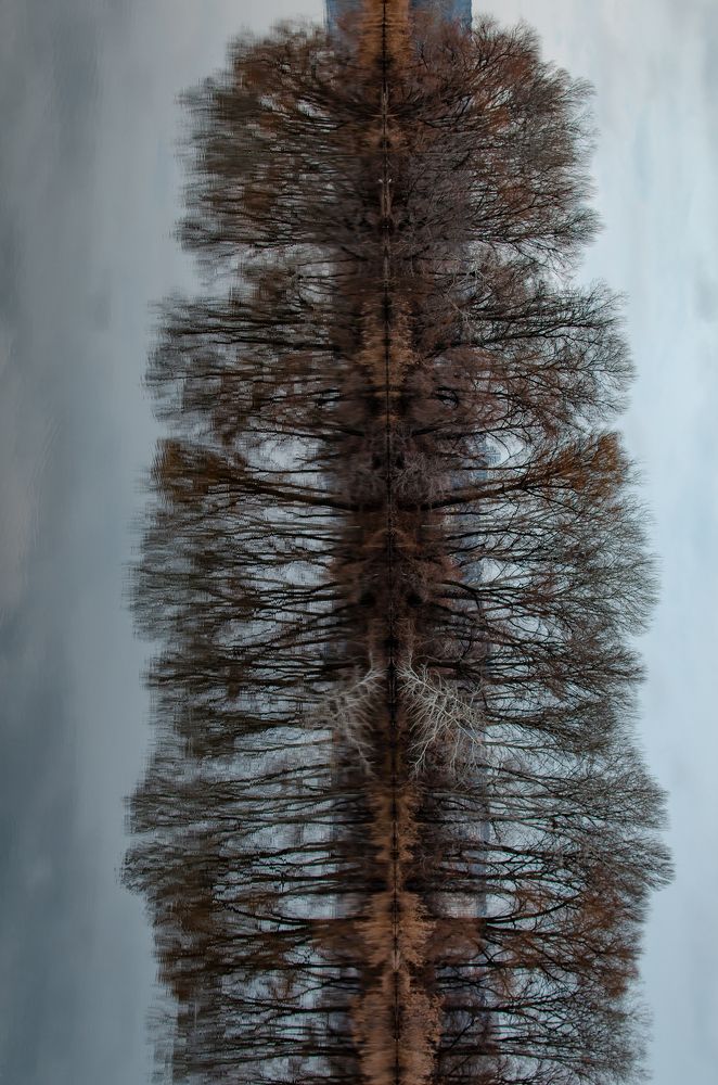 Photograph by Алиса Володченкова