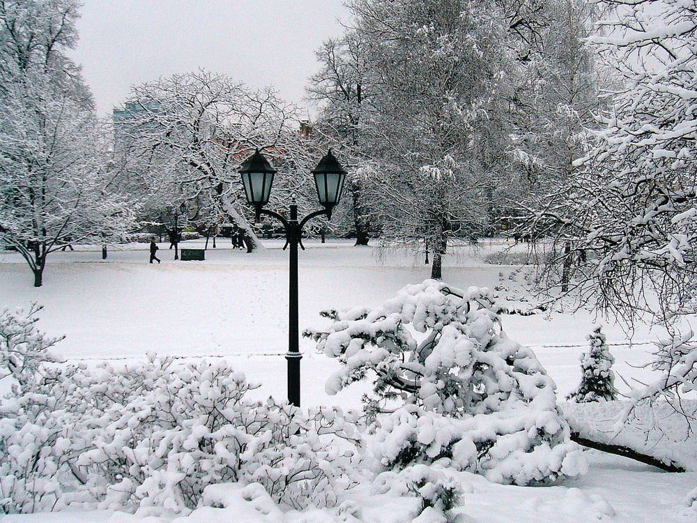 Photograph by Pjotr Alekseev