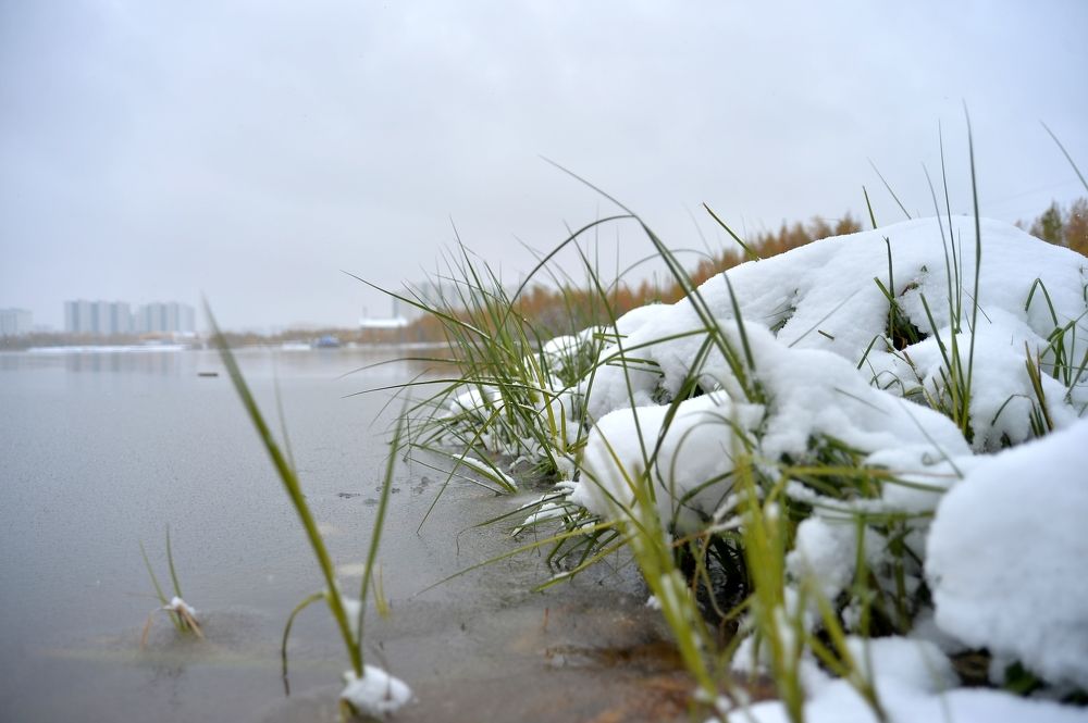 Поздняя осень - ранняя зима на озере